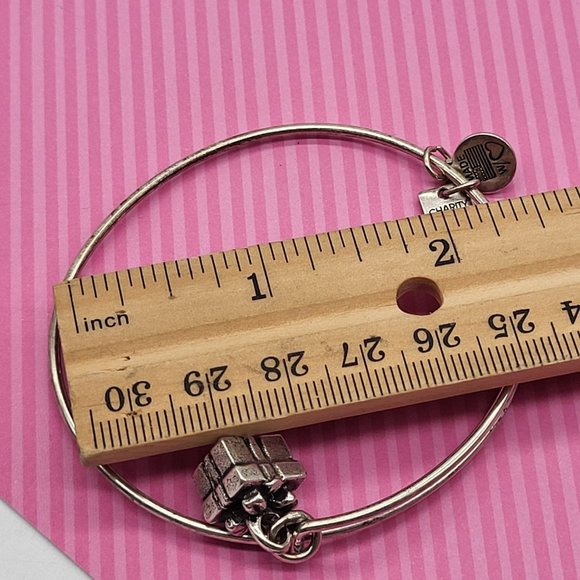 Alex and Ani Energy Gift Box Charm Bracelet Silver Tone Wire Charity By Design - Picture 9 of 9